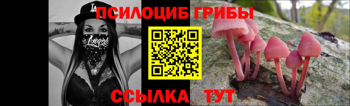 Псилоцибиновые грибы Magic Shrooms Корсаков